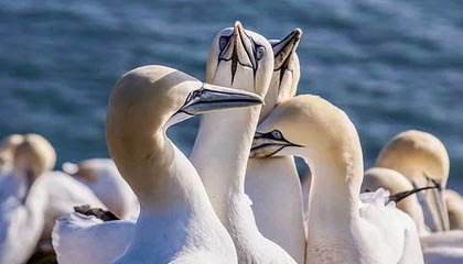 开云体育-受贿数额在300万元以上的 认定为“数额特别巨大”