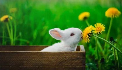 开云体育-国安“二马”组合掌舵新赛季